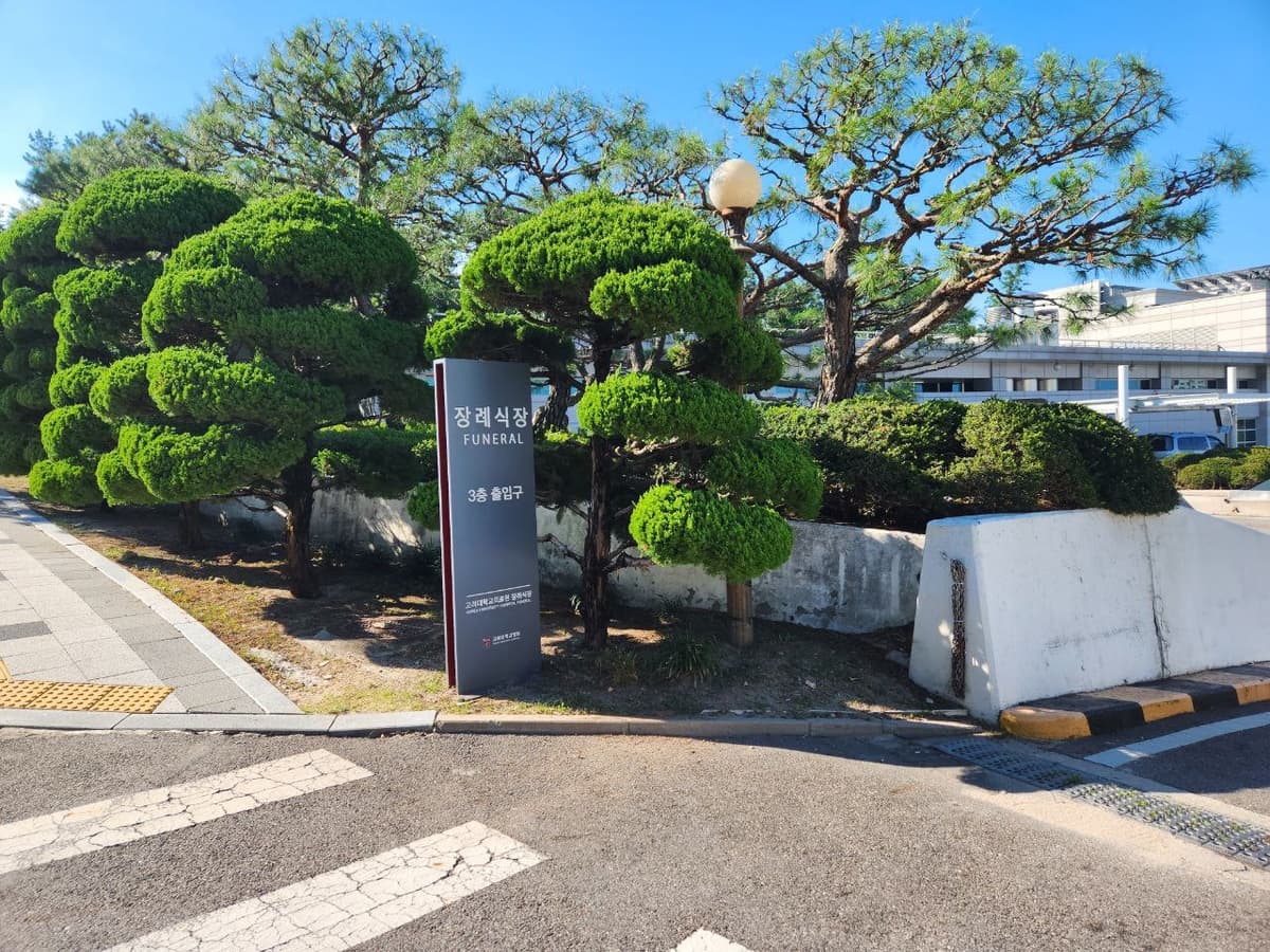 고려대안암병원장례식장 외부 전경 장례식장 표지와 푸른 나무들