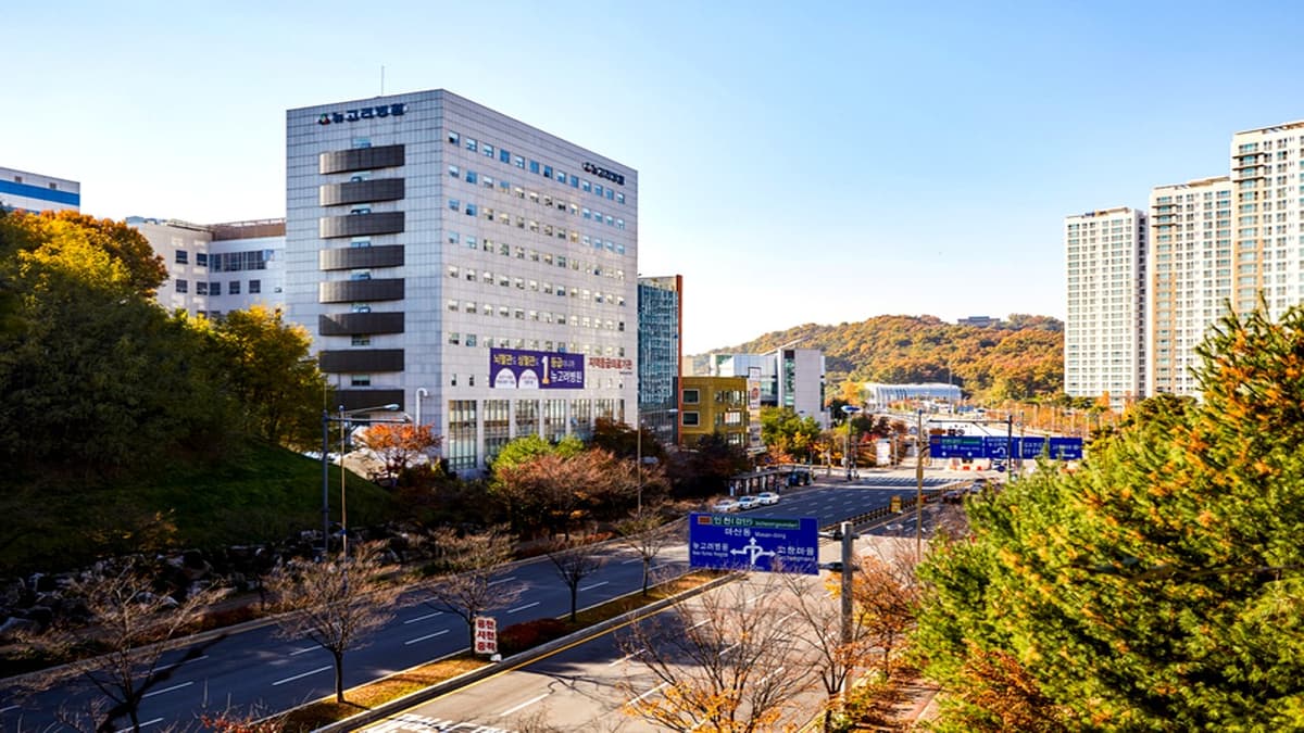 뉴고려병원장례식장 외관 뉴고려병원 전경과 주변 풍경