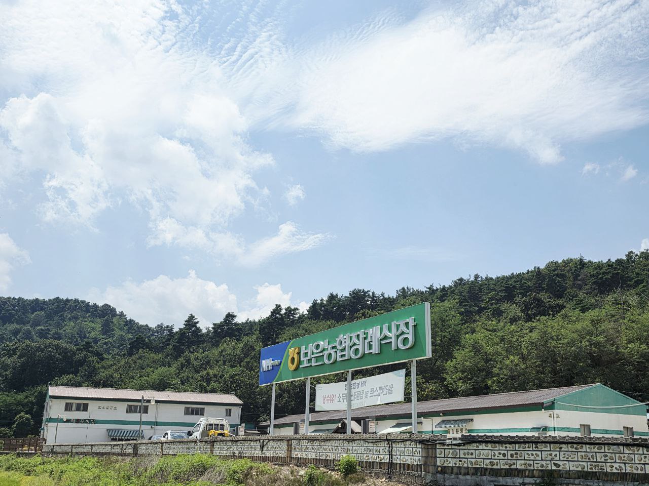 보은농협장례식장 입구와 푸른 산림이 어우러진 모습
